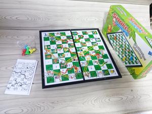 Magnetic Snakes and Ladders Game - main view