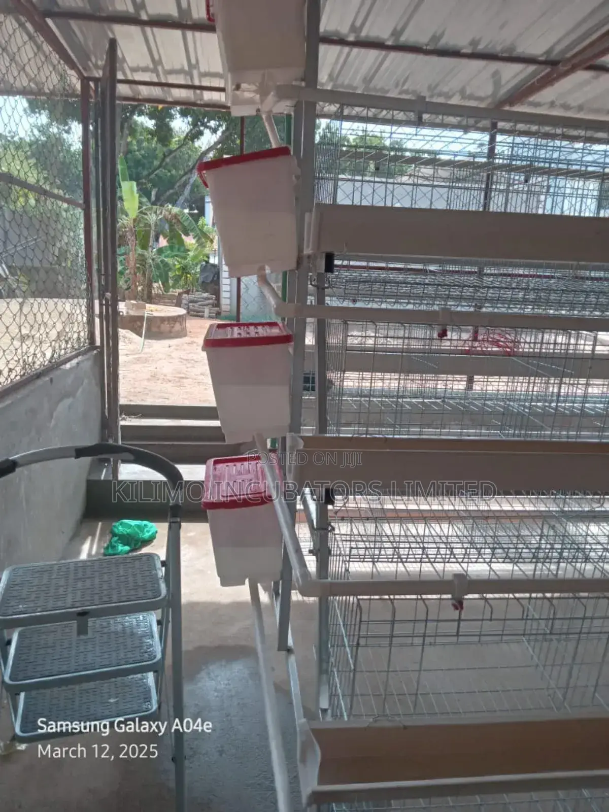 Chicken Cages a-Type 128 Birds Holds