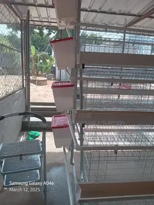 Chicken Cages a-Type 128 Birds Holds