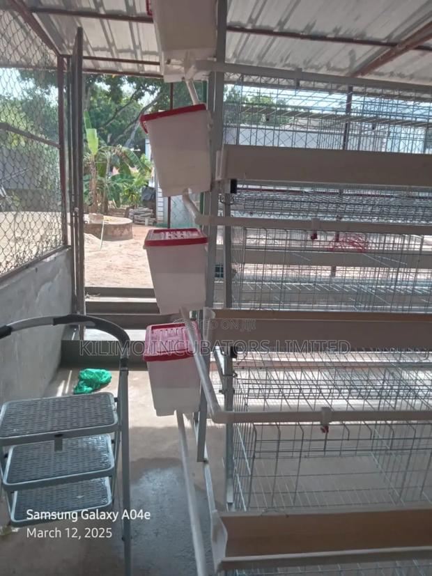 Chicken Cages a-Type 128 Birds Holds - thumbnail 5