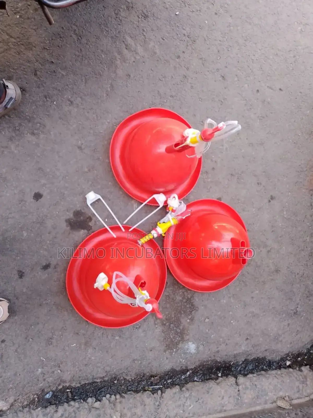 Automatic Bell Drinkers