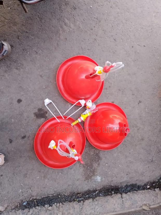 Automatic Bell Drinkers - thumbnail 10