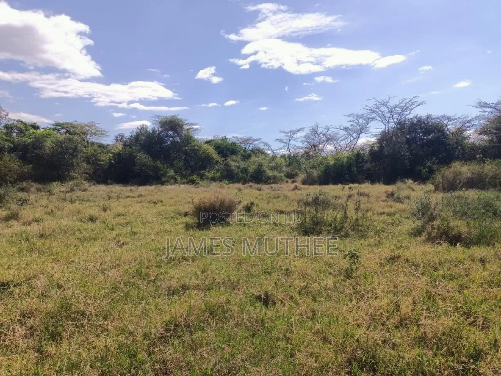 Land on Sale