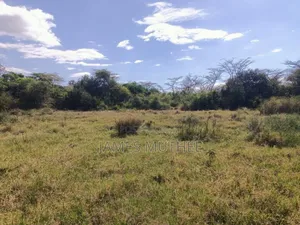 Land on Sale