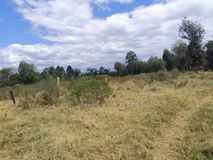 Land on Sale