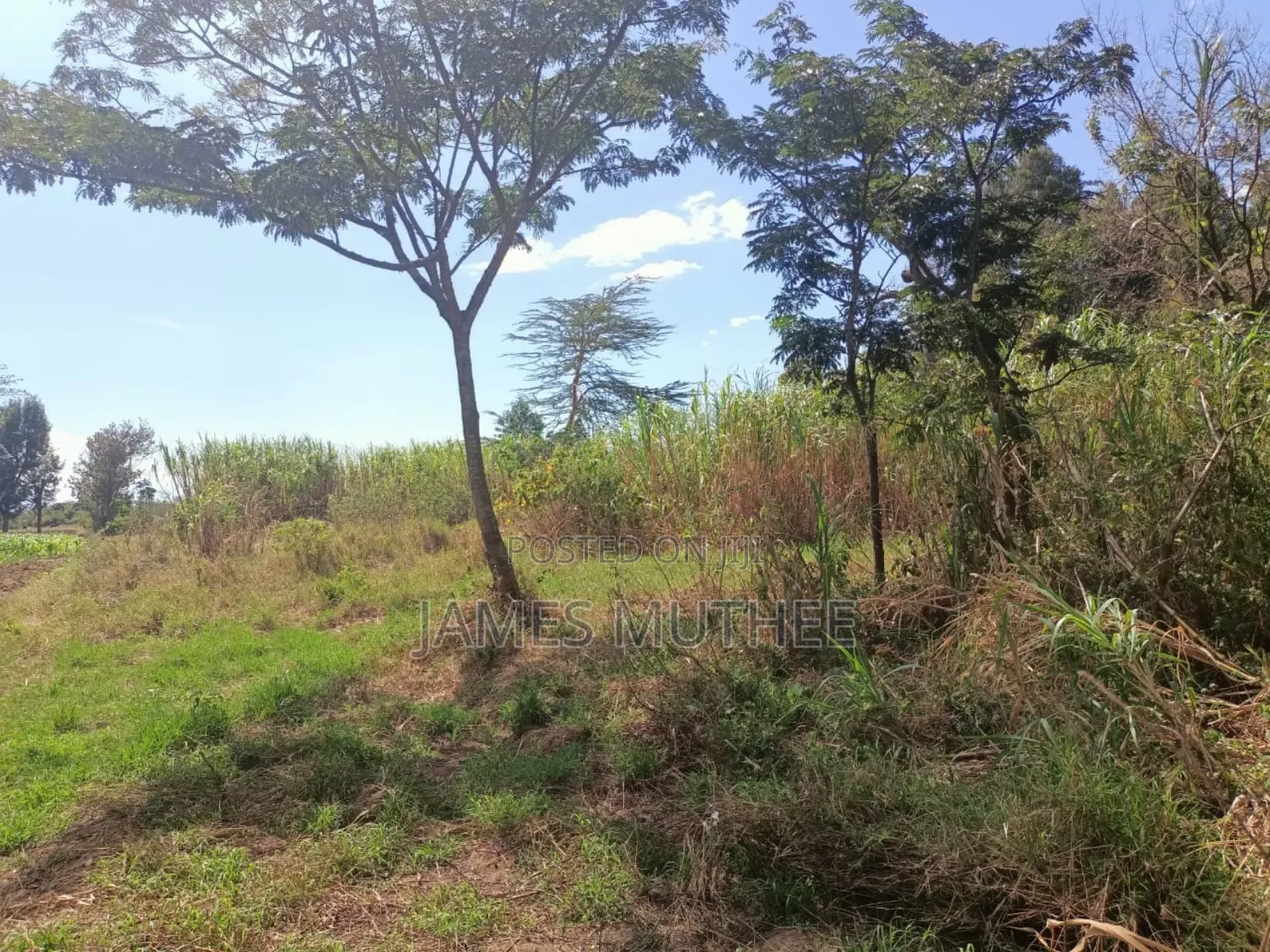 Land on Sale