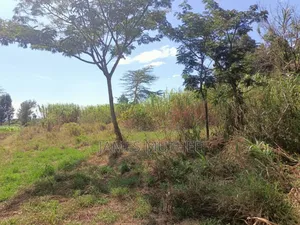 Land on Sale