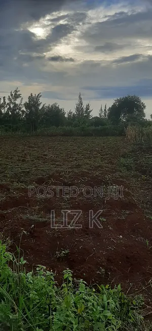 Controlled 100x100 Plots in Thika