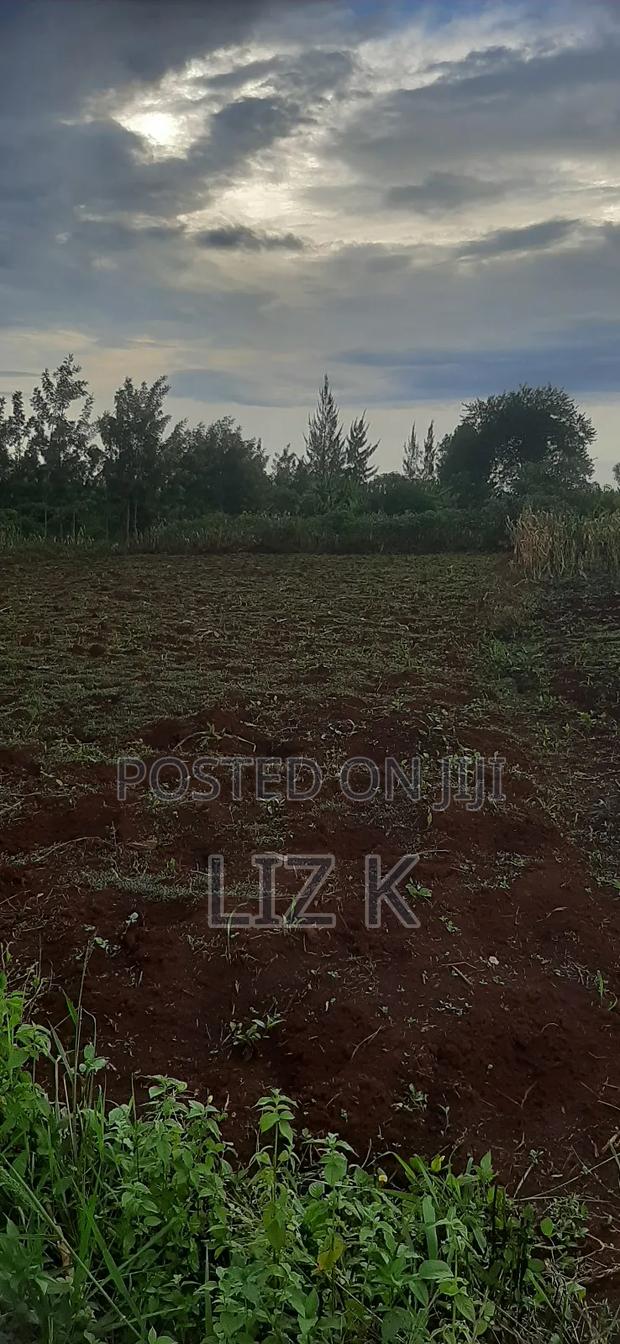 Controlled 100x100 Plots in Thika