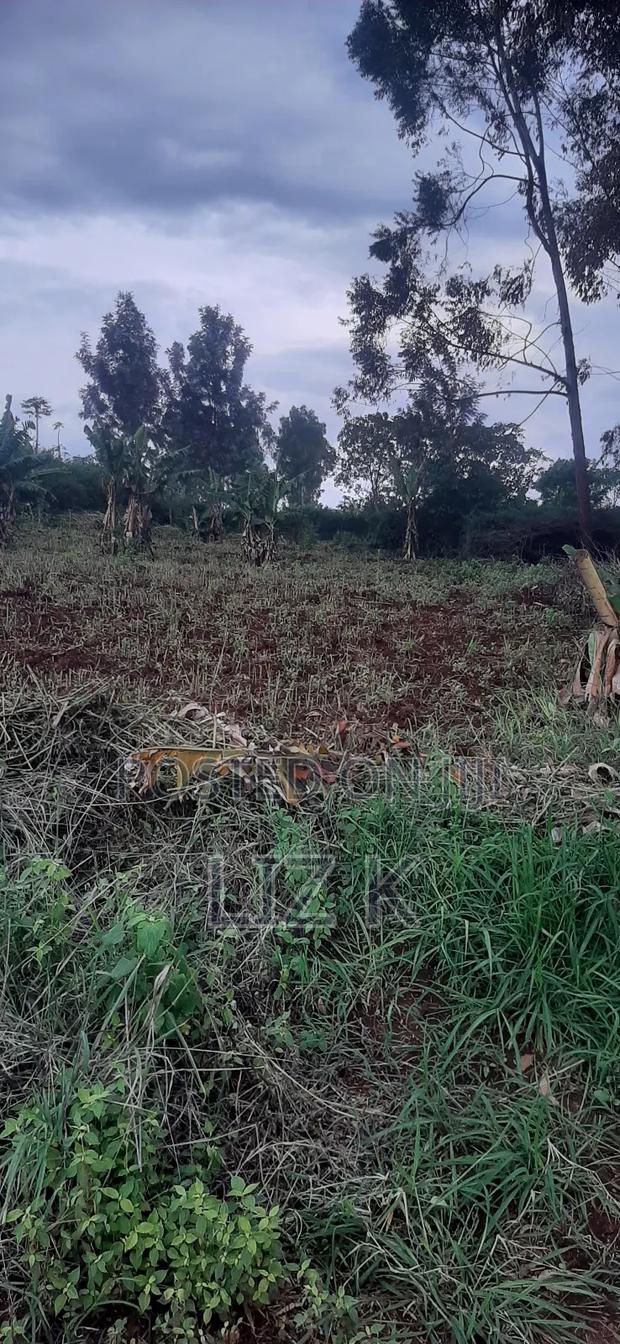 Controlled 100x100 Plots in Thika - thumbnail 2