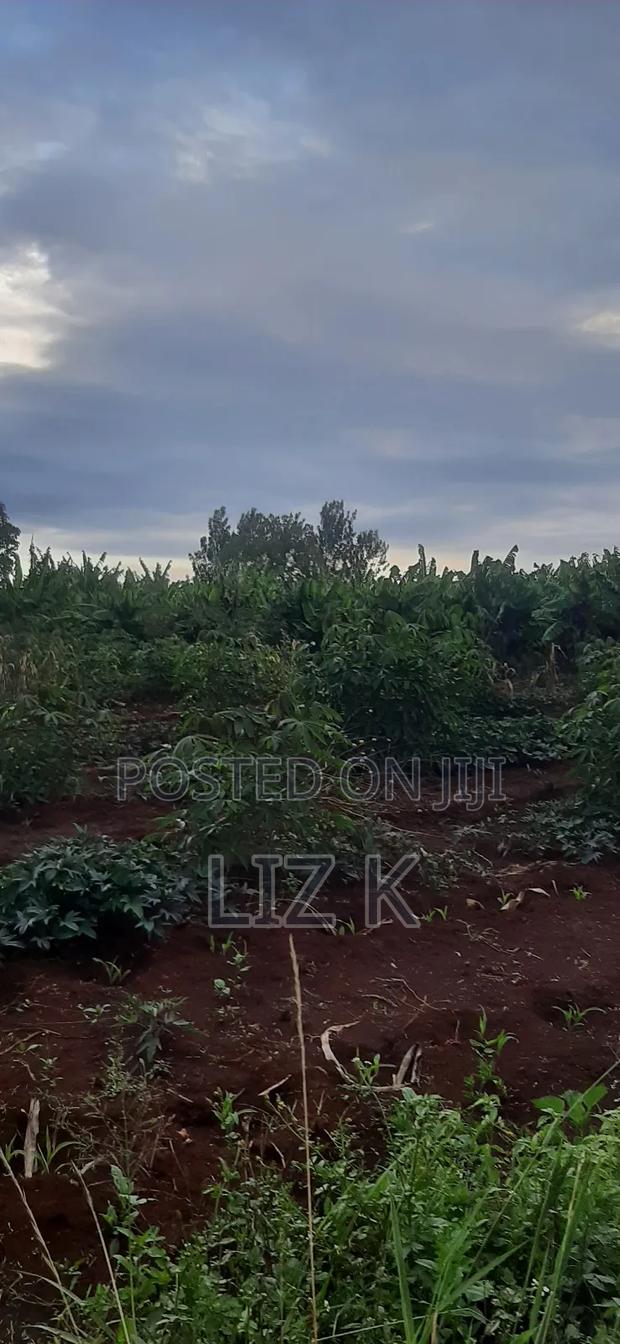 Controlled 100x100 Plots in Thika - thumbnail 3