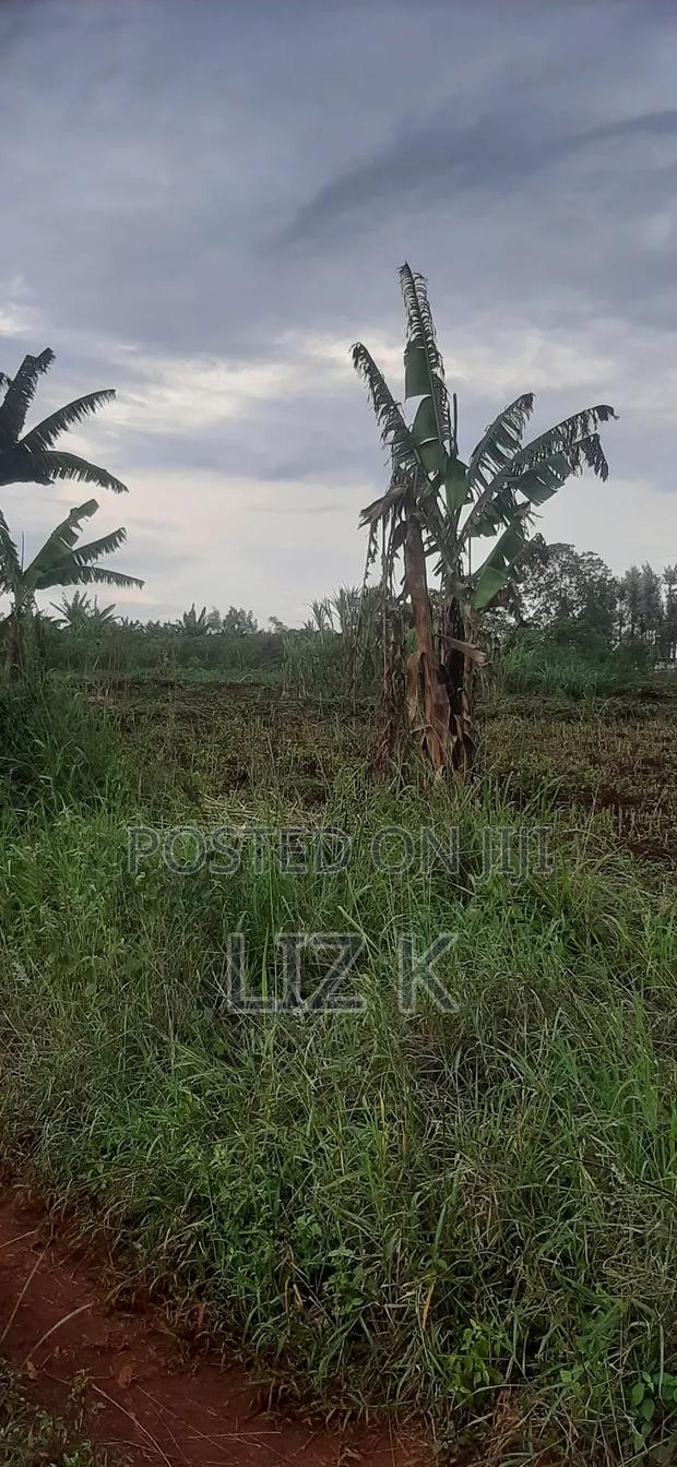Controlled 100x100 Plots in Thika - thumbnail 4