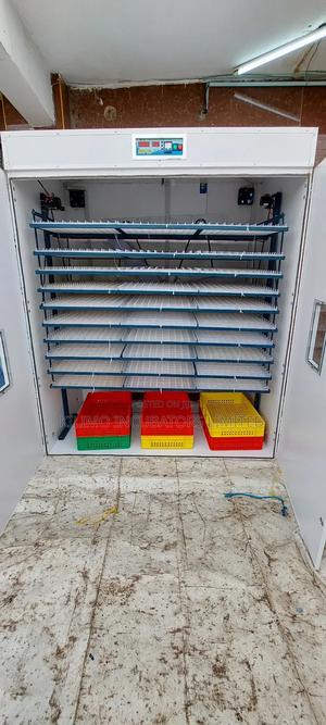 5280 Eggs Incubator - thumbnail 2