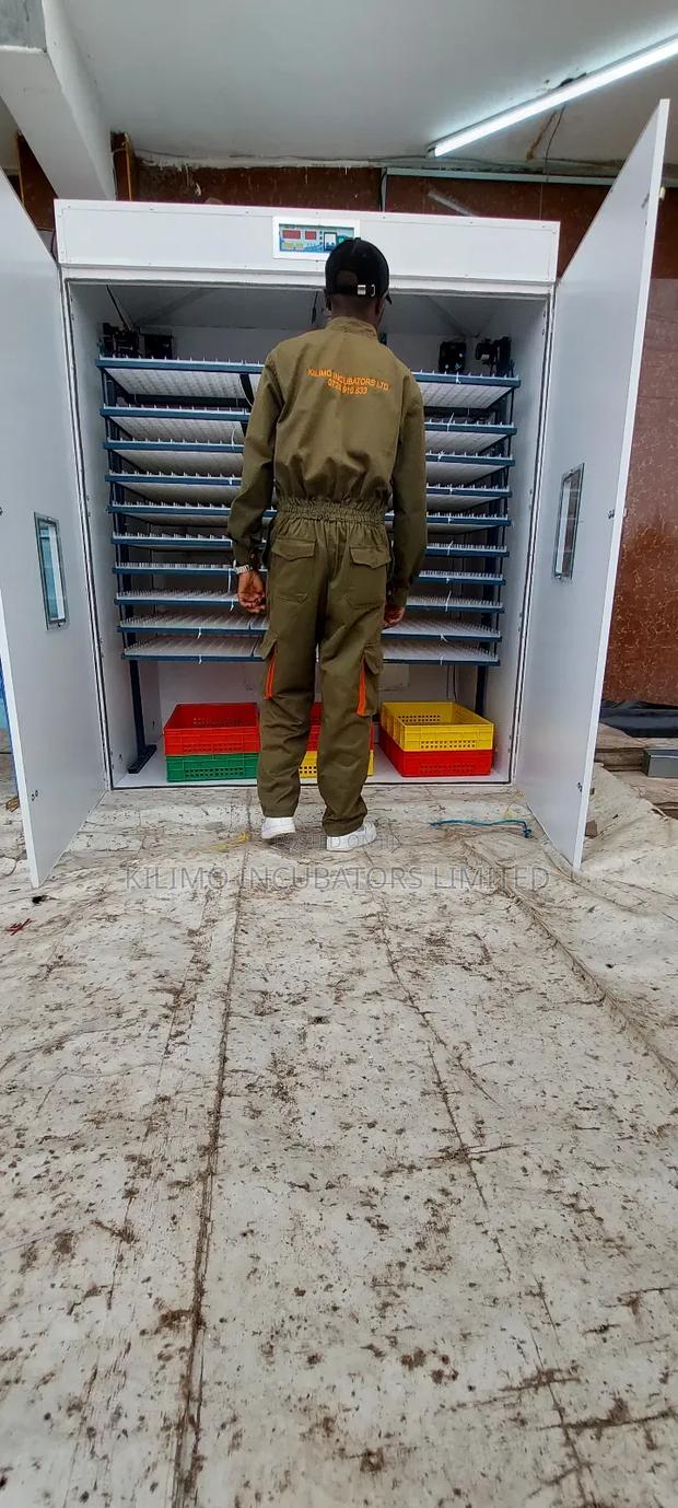 5280 Eggs Incubator - thumbnail 6