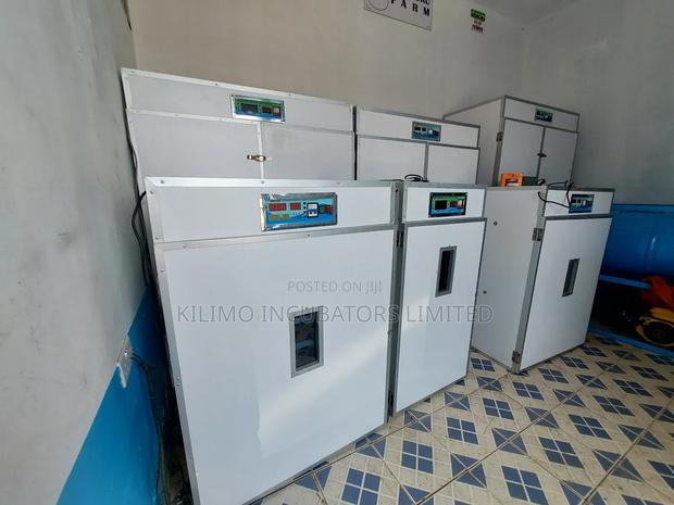 5280 Eggs Incubator - thumbnail 10