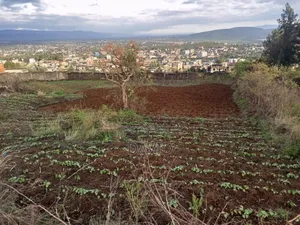 Plot for Sale in Milimami