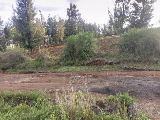 Plot for Sale in Milimami - thumbnail 2