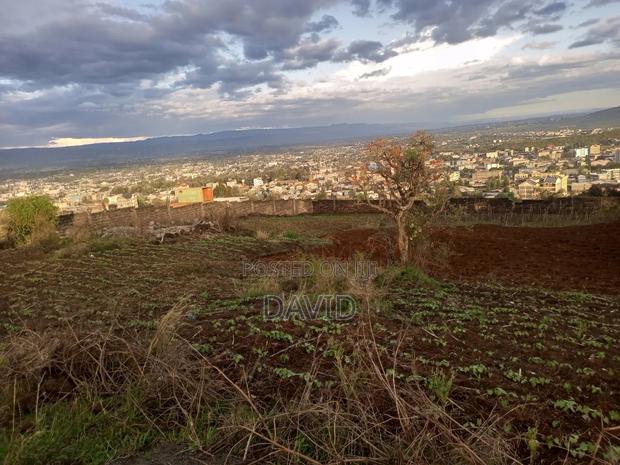 Plot for Sale in Milimami - thumbnail 4