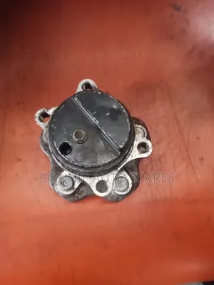 Nissan Juke Rear Hub