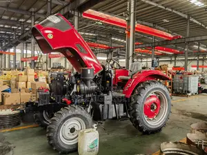 Agricultural Mini Farm Tractor for Sale