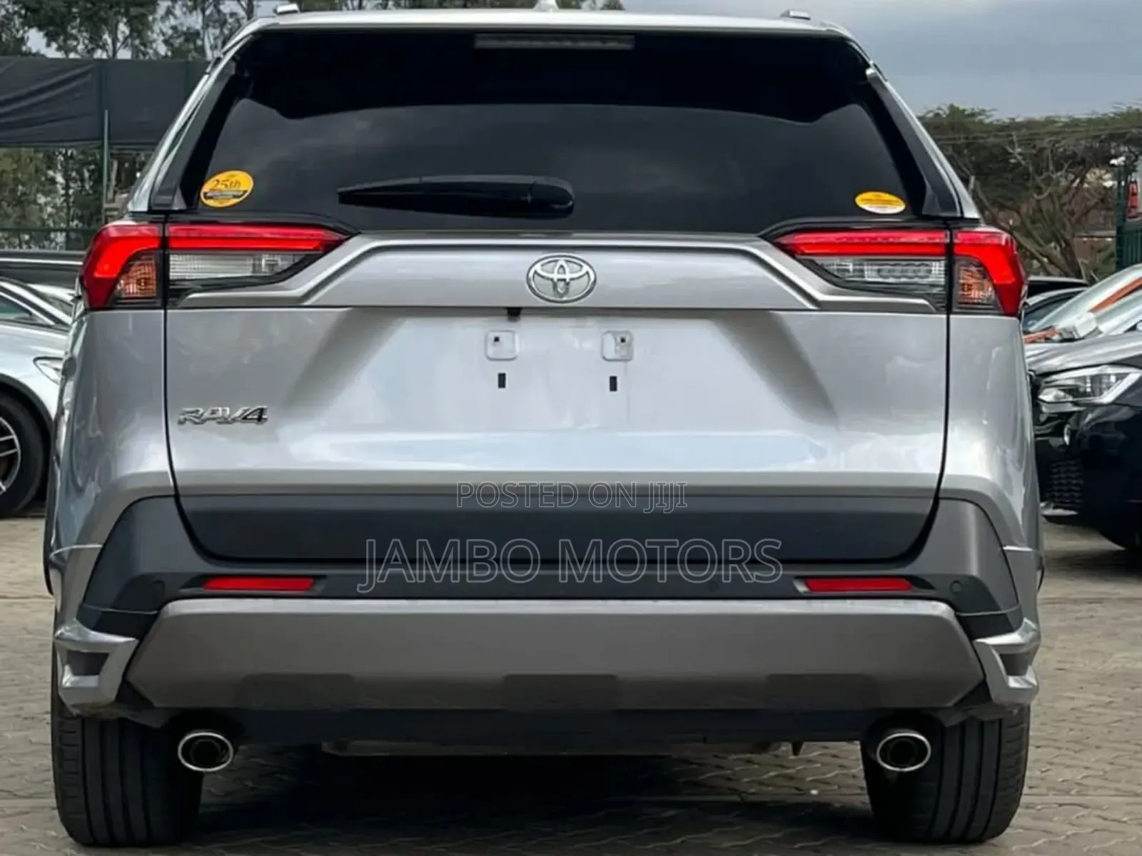 Toyota RAV4 Adventure AWD 2020 Silver