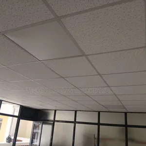 Acoustic Ceiling 13mm,600x600mm