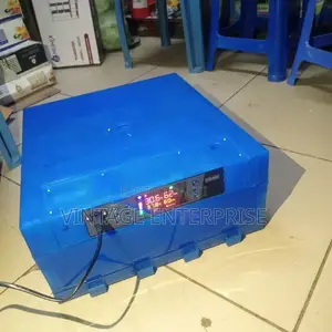 64 Eggs Incubator