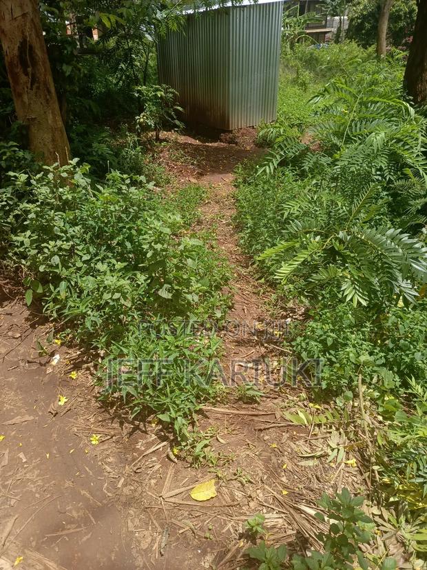 Land in Kirie - main view