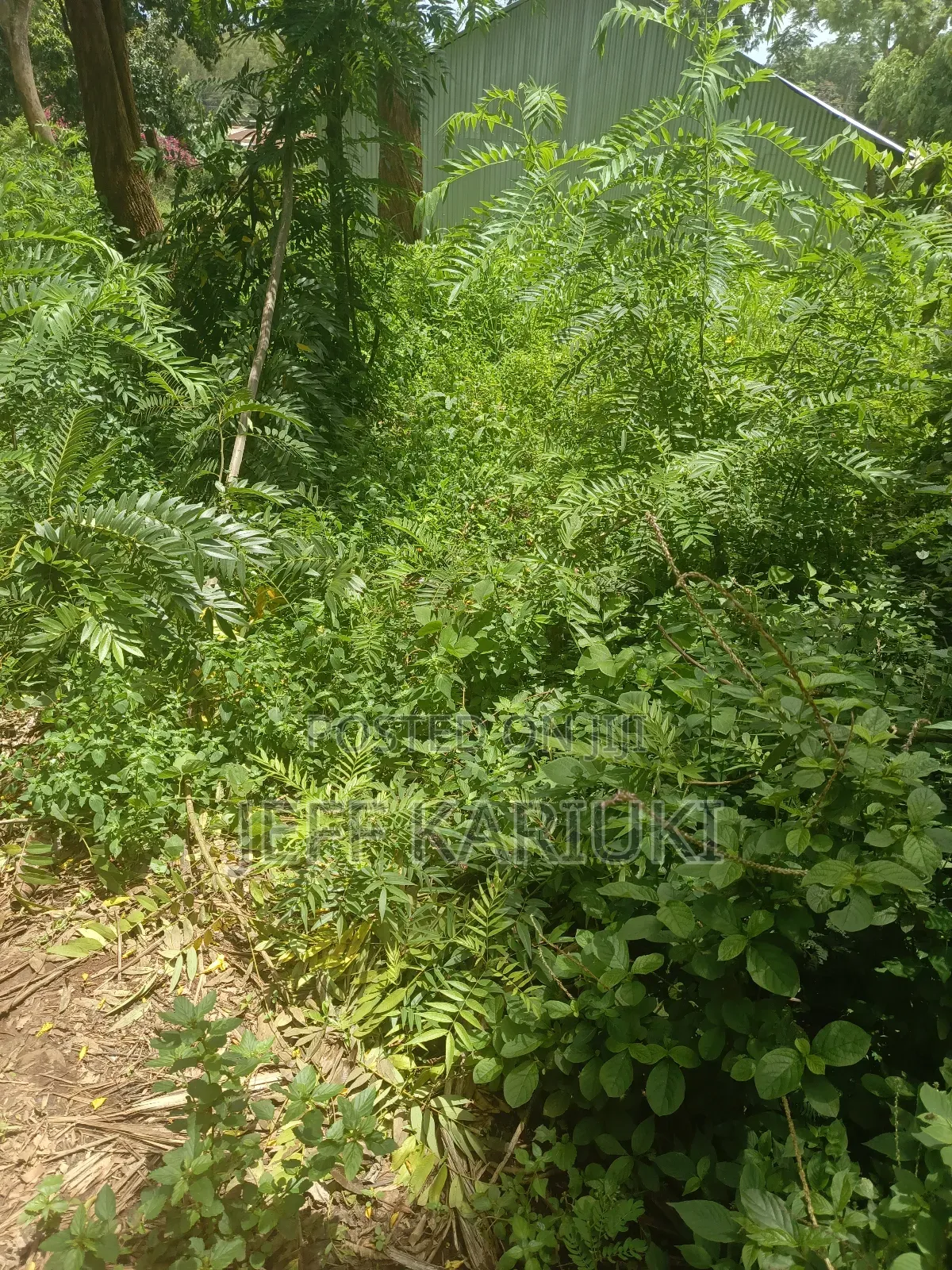 Land in Kirie