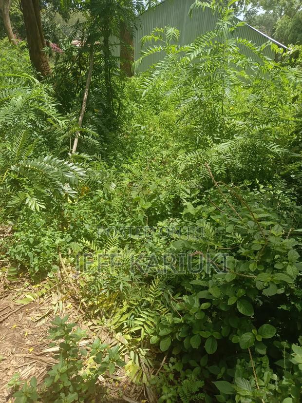 Land in Kirie - thumbnail 2