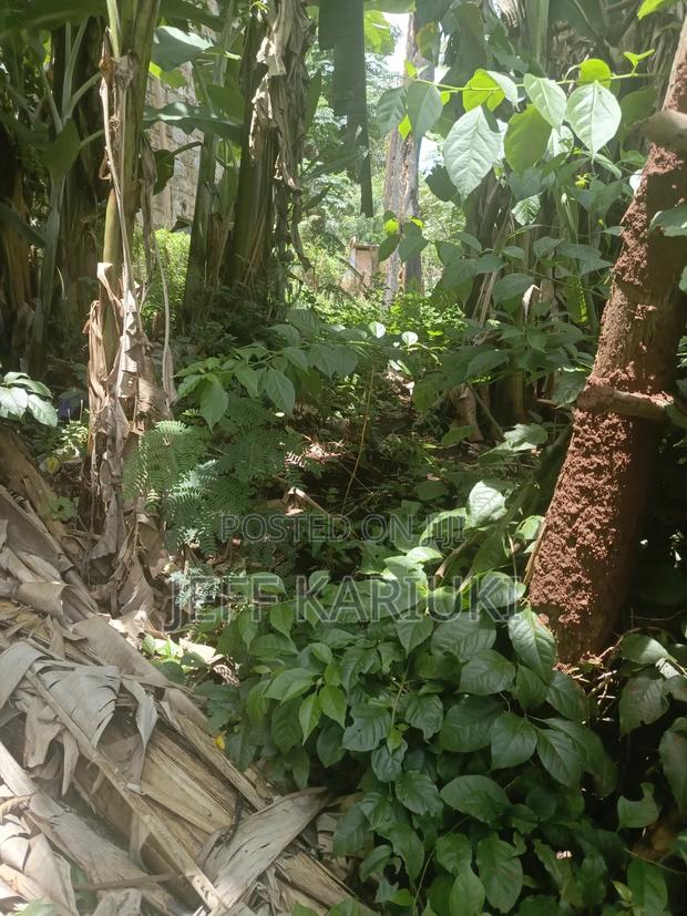 Land in Kirie - thumbnail 3