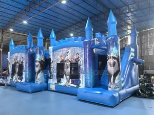 Frozen Themed Castle Available