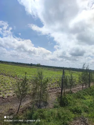 18 Acres on Sale Near Naisula School Kajiado.