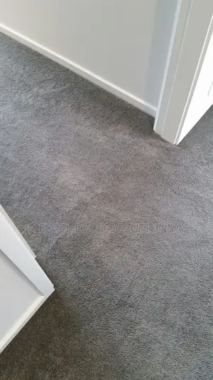 Cozy Homes to Professional Office Carpet