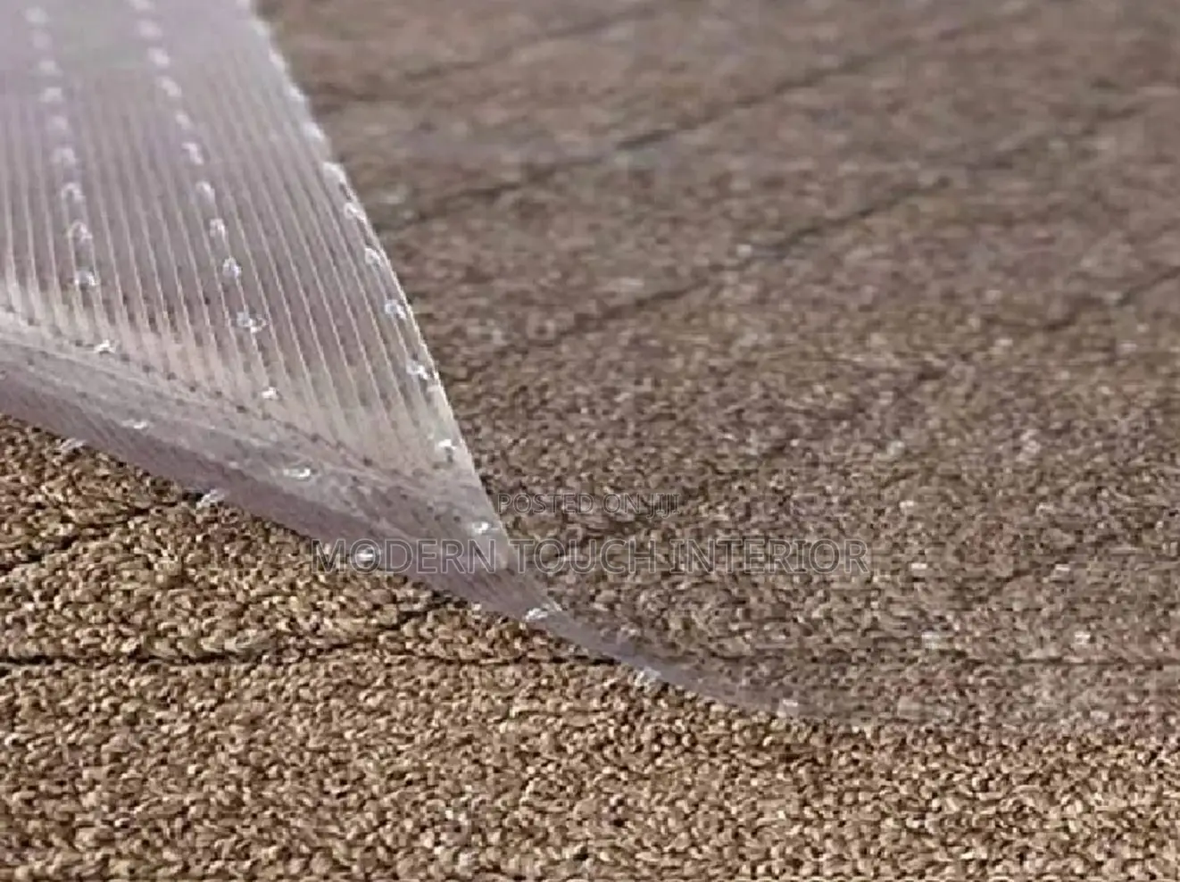 Floors Carpet Protectors