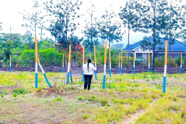 Thika Landless (Salama Estate) - thumbnail 4