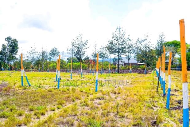 Thika Landless (Salama Estate) - thumbnail 5