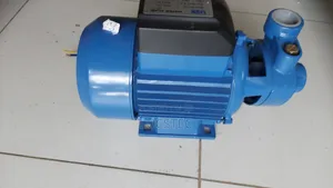 Maxmech 0.75hp Booster Pump