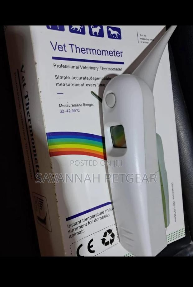 Professional-Grade Vet Thermometer - main view