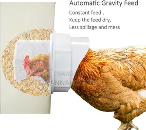 Chicken Feeder Ports Rain Proof Gravity Feed Kits for Bucket