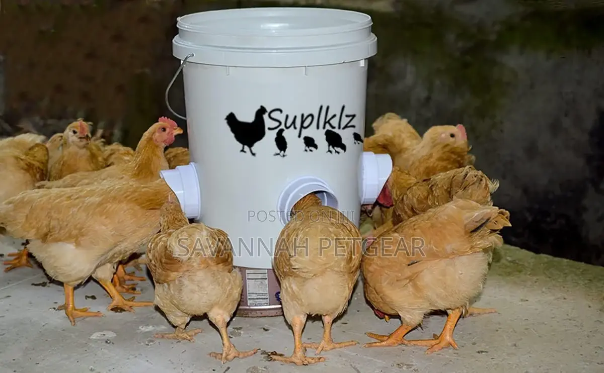 Chicken Feeder Ports Rain Proof Gravity Feed Kits for Bucket