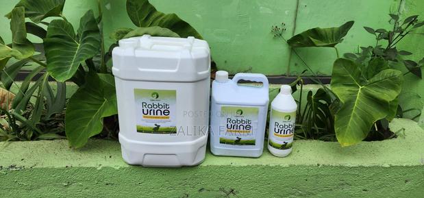 Rabbit Urine - main view