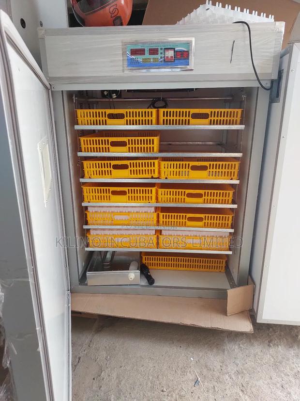 1056 Eggs Full Hatcher - thumbnail 3