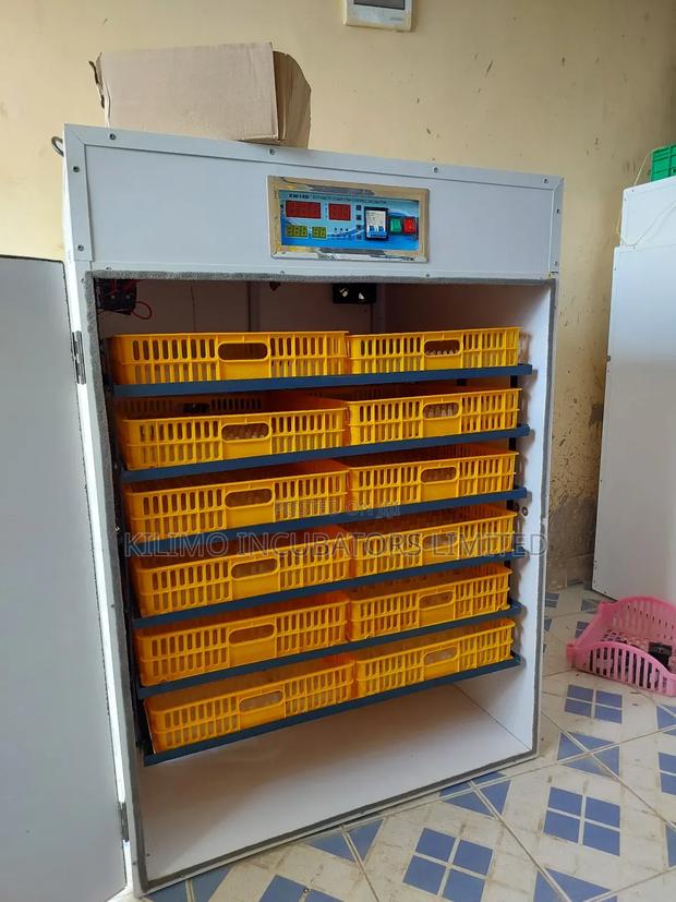 1056 Eggs Full Hatcher - thumbnail 4