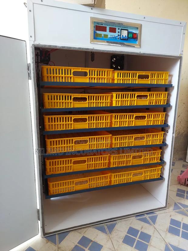 1056 Eggs Full Hatcher - thumbnail 5