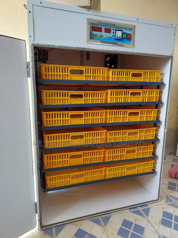 1056 Eggs Full Hatcher - thumbnail 6