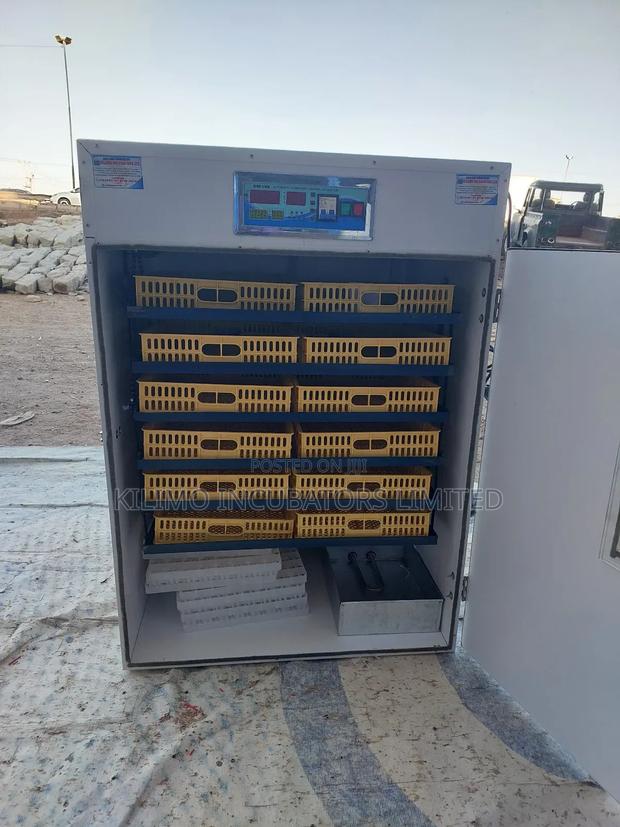 1056 Eggs Full Hatcher - thumbnail 7