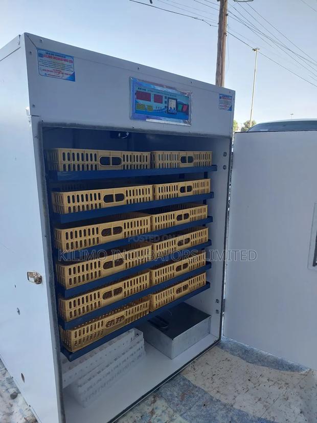 1056 Eggs Full Hatcher - thumbnail 8