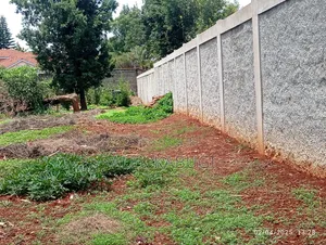 1/2 Acre Land for Sale Runda Evergreen