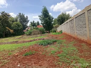 1/2 Acre Land for Sale Runda Evergreen